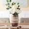 7ft. Ivory Rope by Ashland®